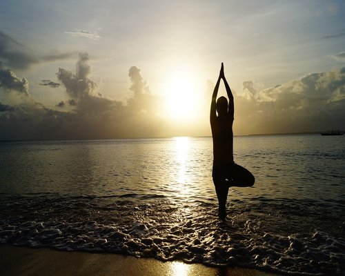 Person practicing yoga in a peaceful park